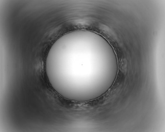 X0000096661061200802261338