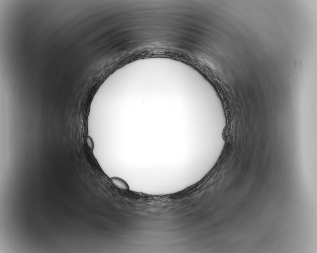 X0000096661062200802261338