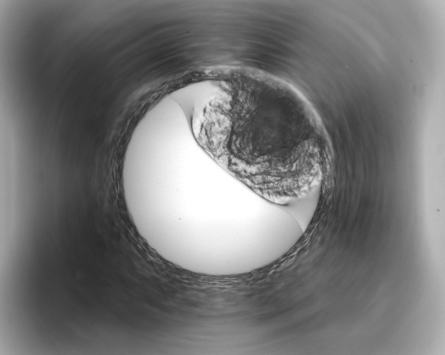 X0000096661063200802261338