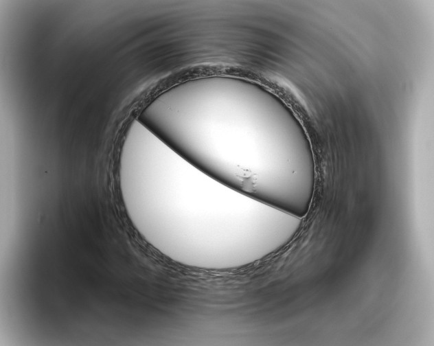 X0000096661064200802261338