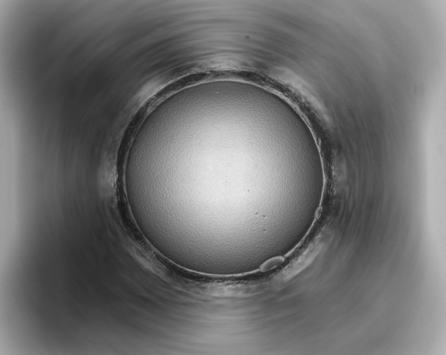 X0000096661065200802261337