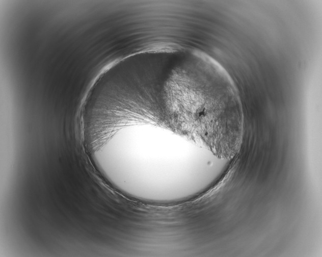 X0000096661067200802261337