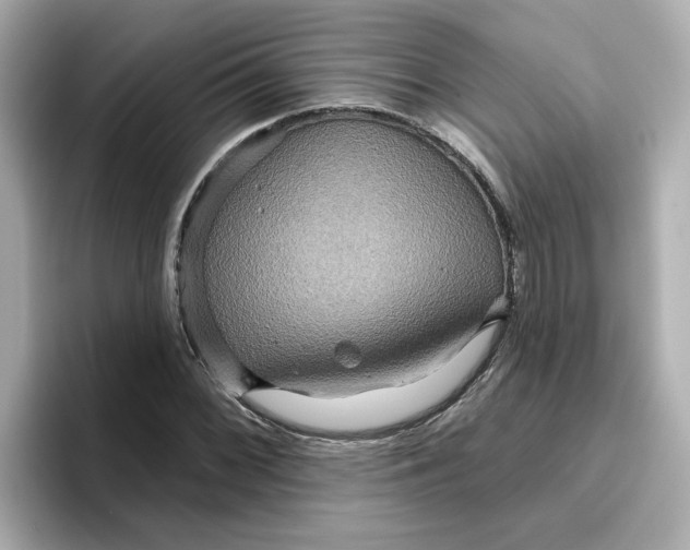 X0000096661068200802261337