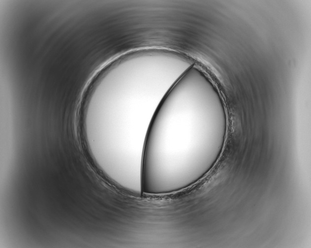 X0000096661069200802261337