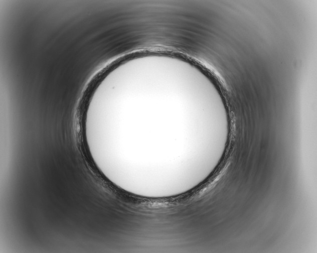 X0000096661070200802261337