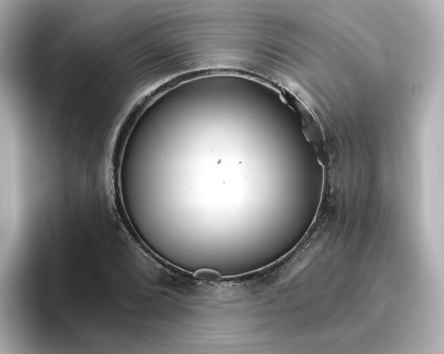 X0000096661072200802261337