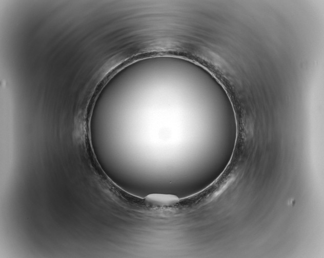 X0000096661073200802261337