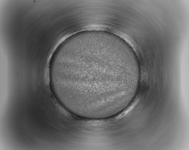 X0000096661075200802261337