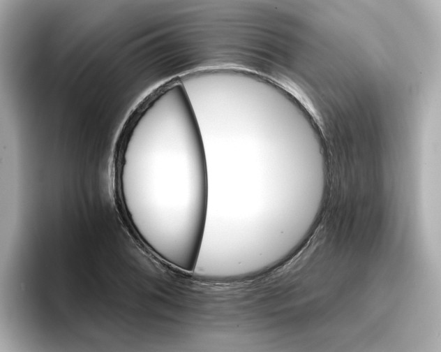 X0000096661076200802261337