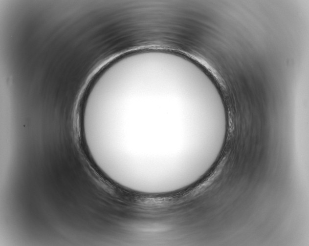 X0000096661078200802261337