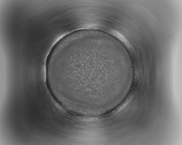 X0000096661079200802261337