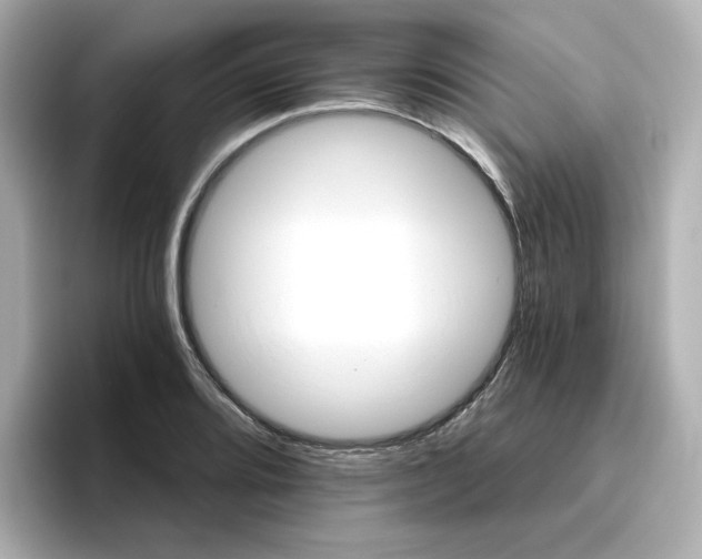 X0000096661080200802261337