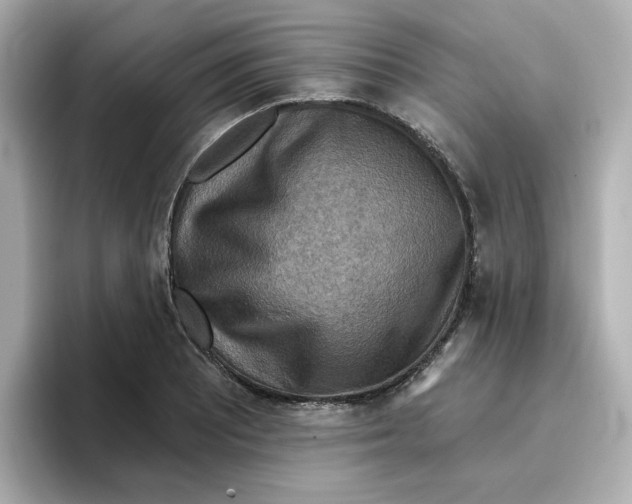 X0000096661081200802261337