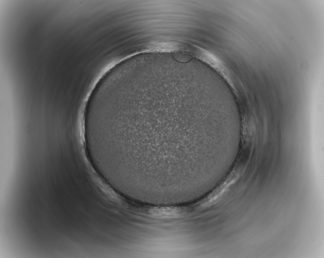 X0000096661083200802261337