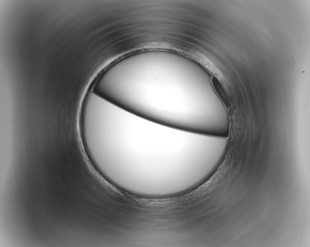 X0000096661084200802261337