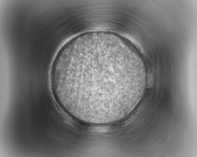 X0000096661086200802261337