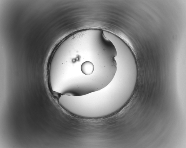 X0000096661088200802261337