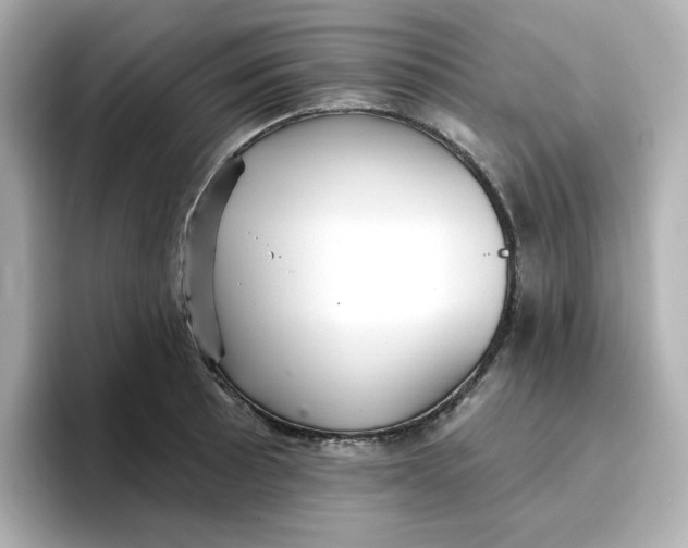 X0000096661089200802261337