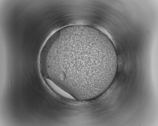 X0000096661091200802261337