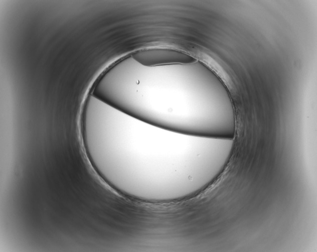 X0000096661092200802261337