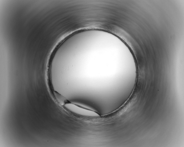 X0000096661093200802261337