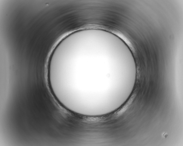 X0000096661094200802261337