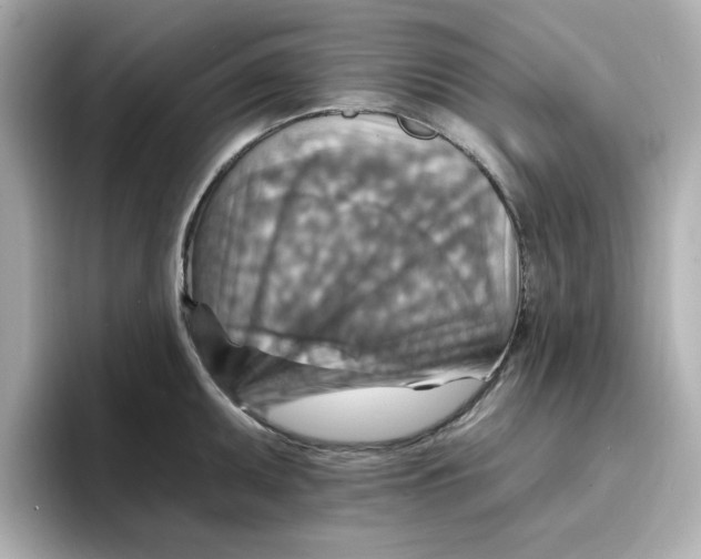 X0000096661095200802261337