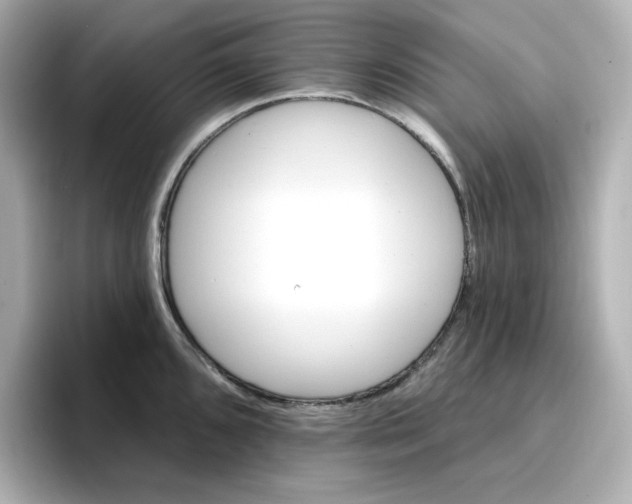 X0000096661096200802261337