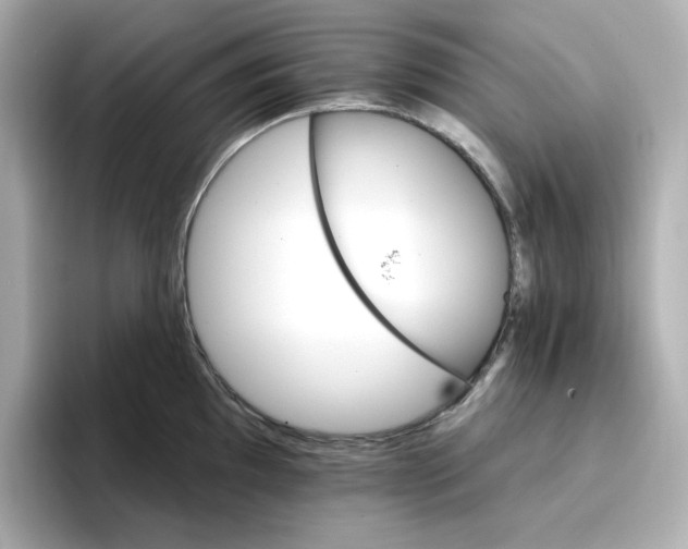 X0000096661097200802261337