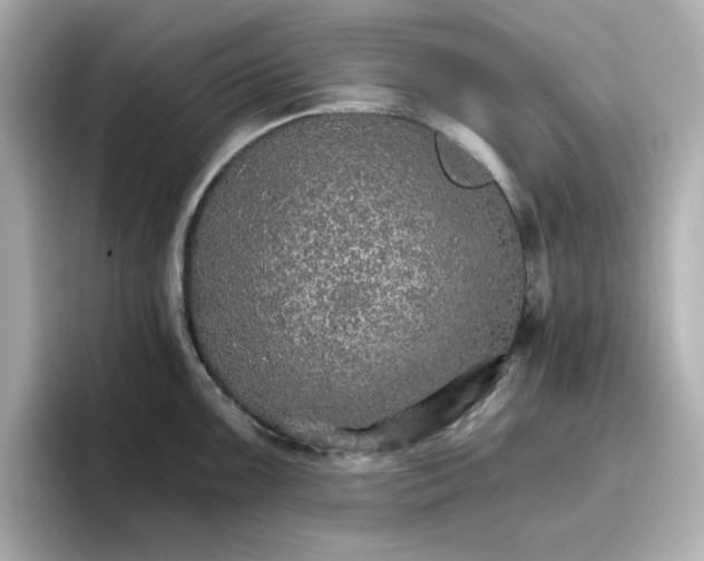 X0000096661099200802261337