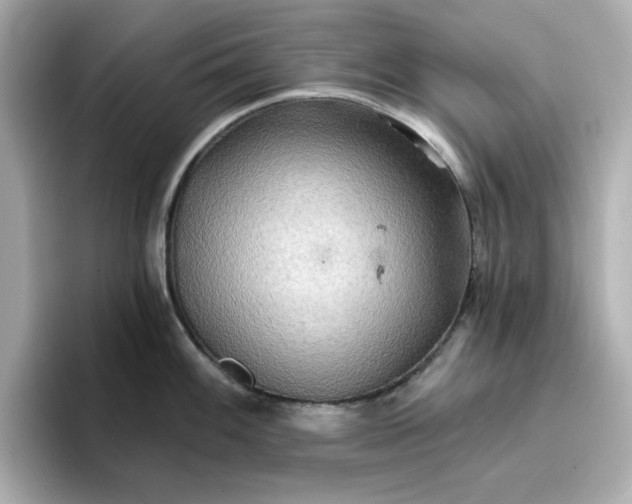 X0000096661100200802261337