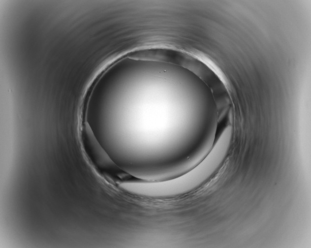 X0000096661101200802261337