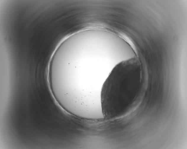 X0000096661103200802261337