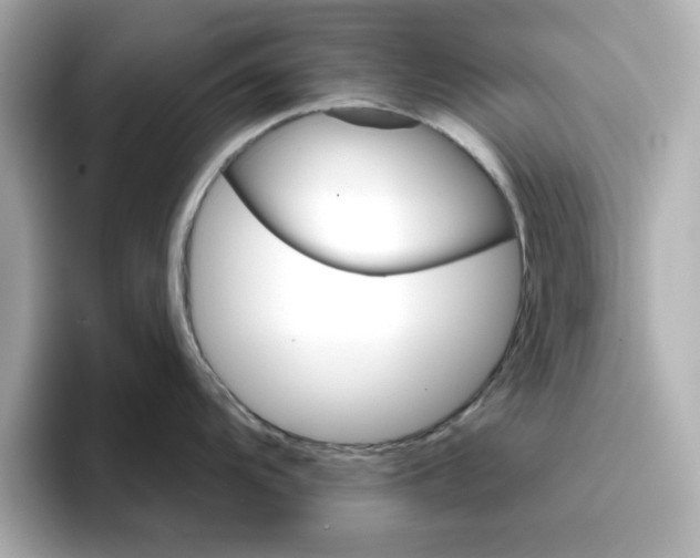 X0000096661104200802261337