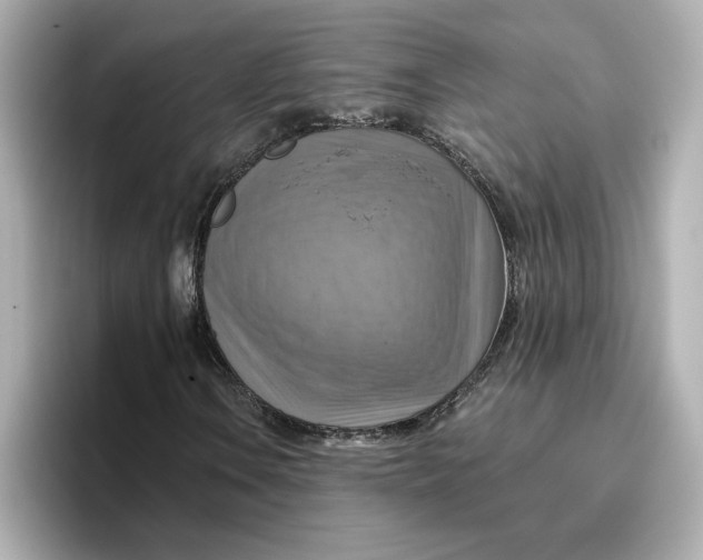 X0000096661106200802261336