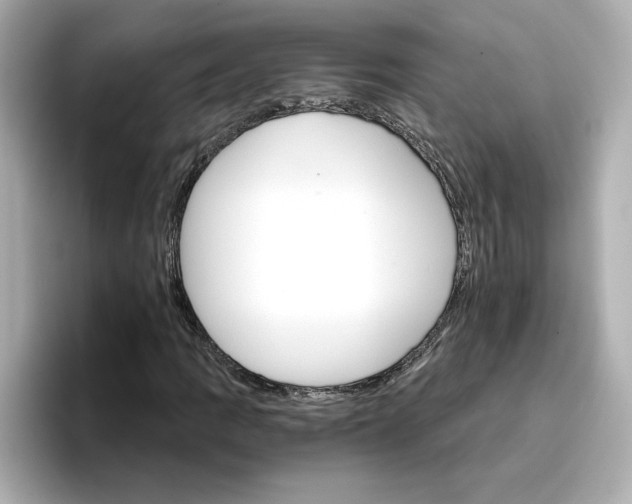 X0000096661109200802261336