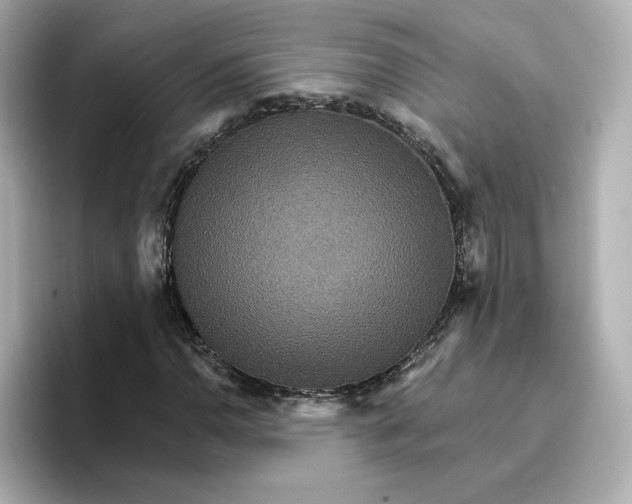 X0000096661110200802261336