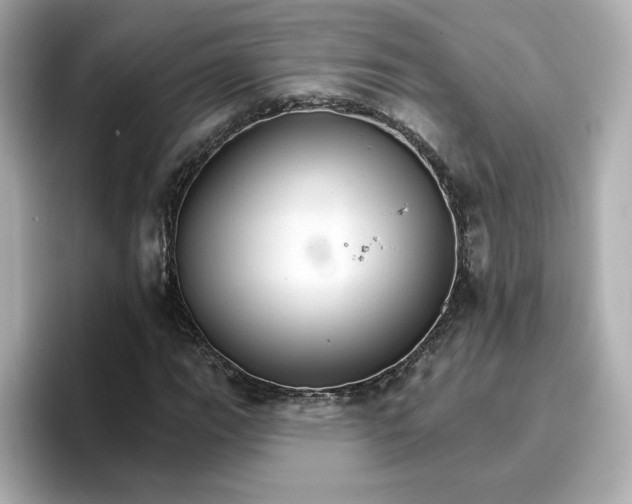 X0000096661111200802261336