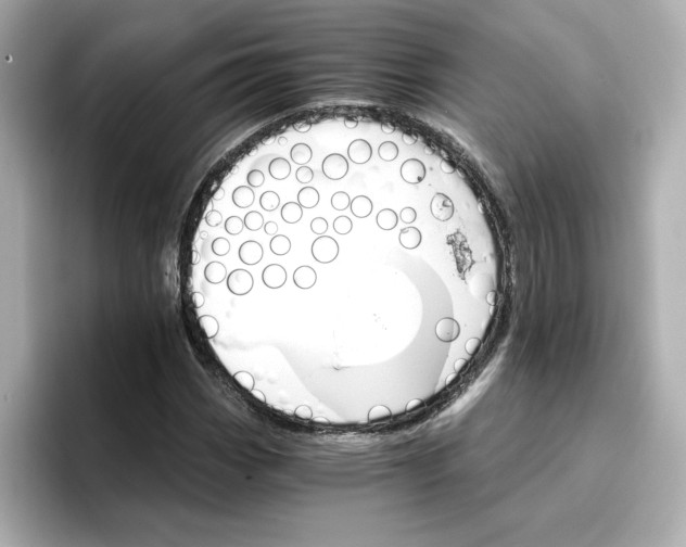 X0000096661113200802261336