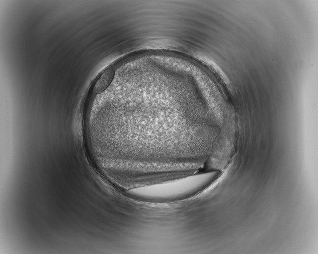 X0000096661114200802261336