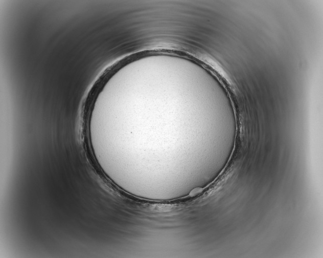 X0000096661116200802261336