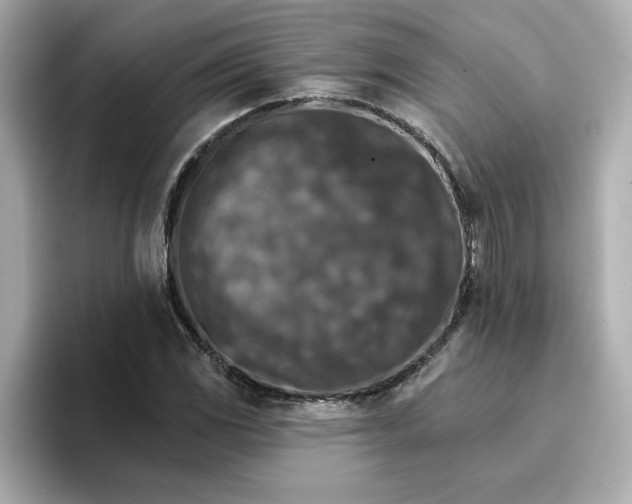 X0000096661117200802261336