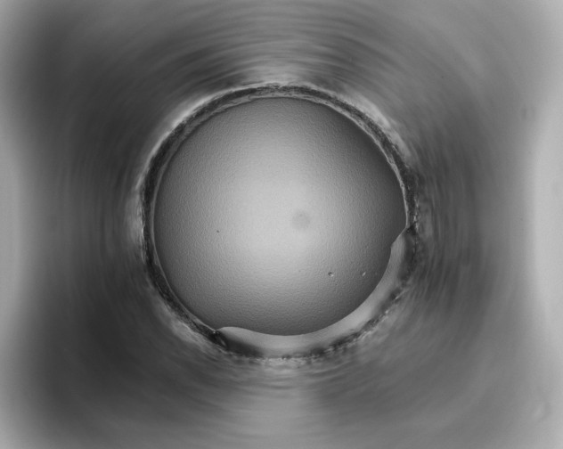 X0000096661118200802261336