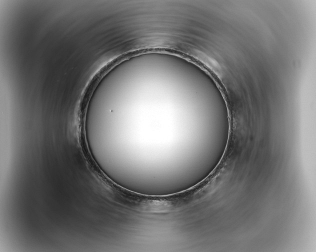 X0000096661119200802261336