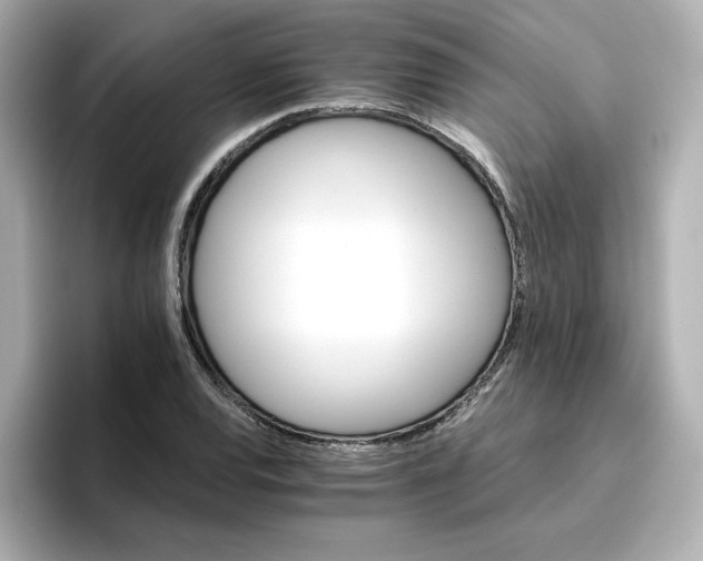 X0000096661120200802261336