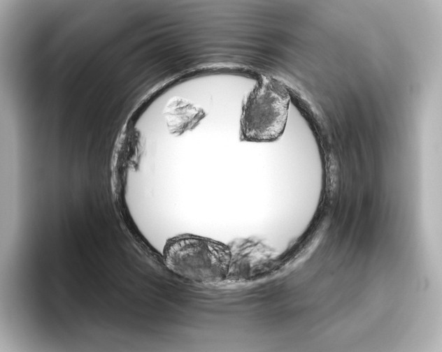 X0000096661121200802261336