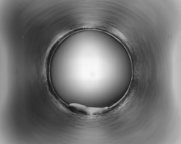 X0000096661122200802261336