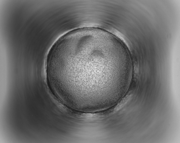 X0000096661124200802261337