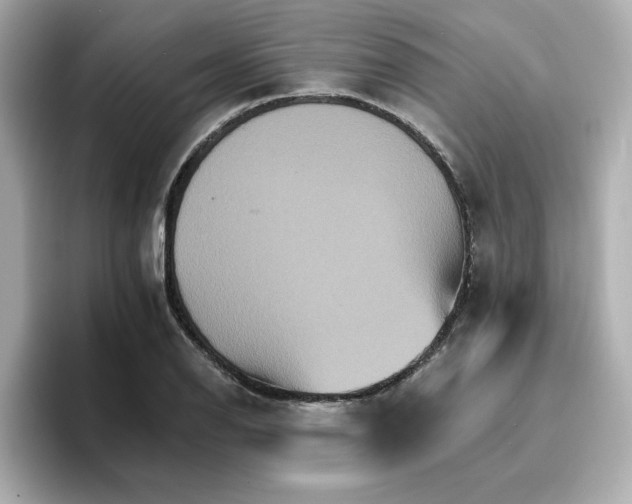 X0000096661126200802261337