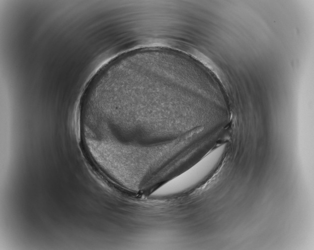 X0000096661127200802261337